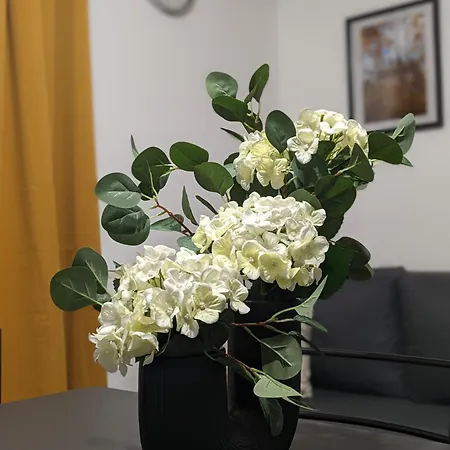 아파트 U Lazara 쿤타호라