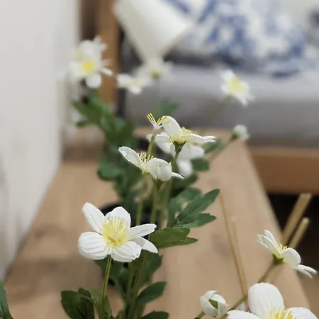 아파트 U Lazara *