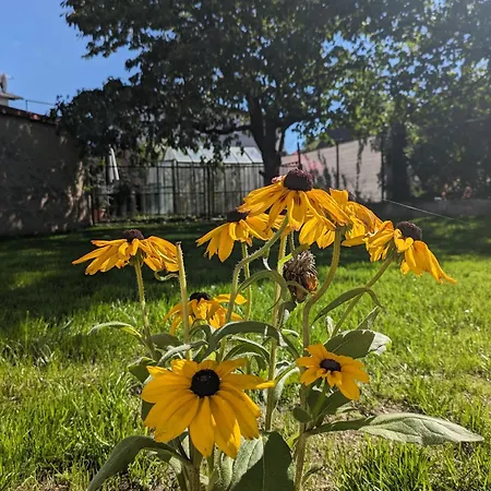 U Lazara * 쿤타호라