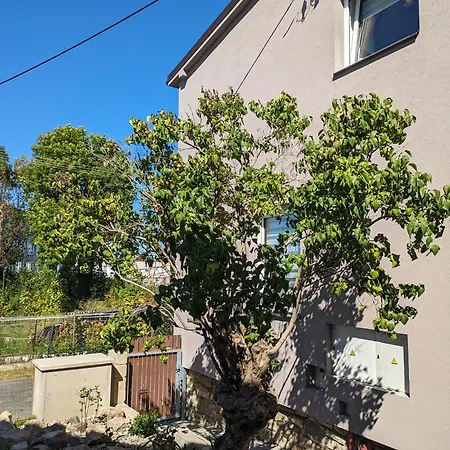 U Lazara Apartament Kutná Hora