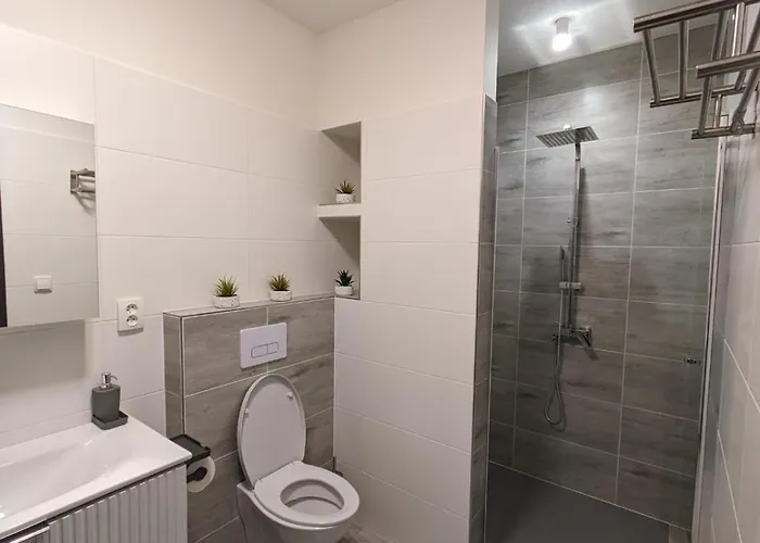 Daire U Lazara Kutná Hora