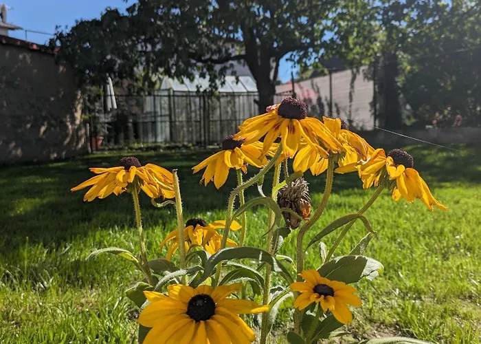 U Lazara * Kutná Hora